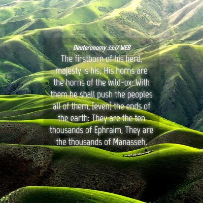 Picture 04 - Deuteronomy 33:17 WEB - The firstborn of his herd, majesty is his; His - Bible Verse Picture