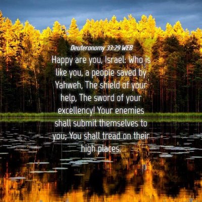 Picture 04 - Deuteronomy 33:29 WEB - Happy are you, Israel: Who is like you, a people - Bible Verse Picture