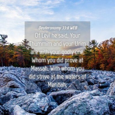 Picture 04 - Deuteronomy 33:8 WEB - Of Levi he said, Your Thummim and your Urim are - Bible Verse Picture