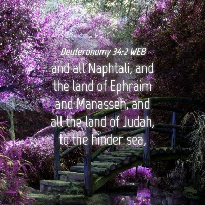 Picture 04 - Deuteronomy 34:2 WEB - and all Naphtali, and the land of Ephraim and - Bible Verse Picture