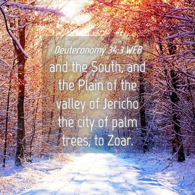 Picture 04 - Deuteronomy 34:3 WEB - and the South, and the Plain of the valley of - Bible Verse Picture