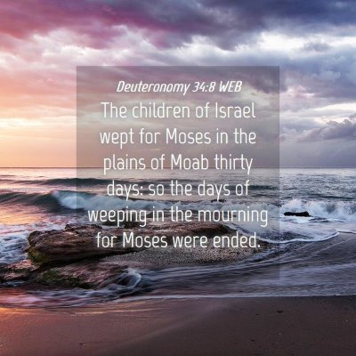 Picture 04 - Deuteronomy 34:8 WEB - The children of Israel wept for Moses in the - Bible Verse Picture