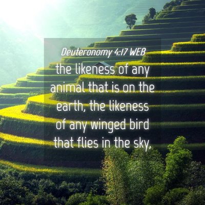Picture 04 - Deuteronomy 4:17 WEB - the likeness of any animal that is on the earth, - Bible Verse Picture