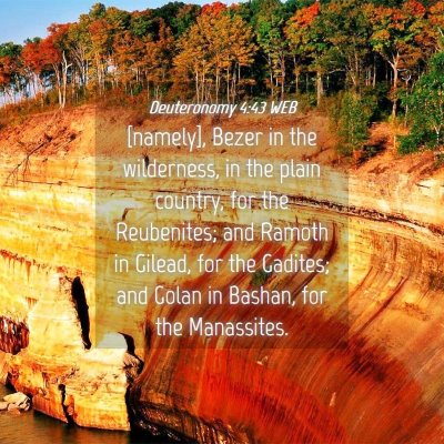Picture 04 - Deuteronomy 4:43 WEB - [namely], Bezer in the wilderness, in the plain - Bible Verse Picture