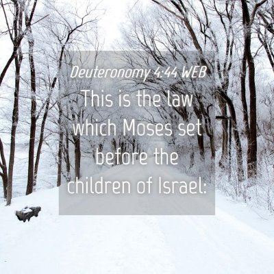 Picture 04 - Deuteronomy 4:44 WEB - This is the law which Moses set before the - Bible Verse Picture
