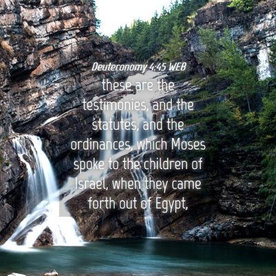 Picture 04 - Deuteronomy 4:45 WEB - these are the testimonies, and the statutes, and - Bible Verse Picture