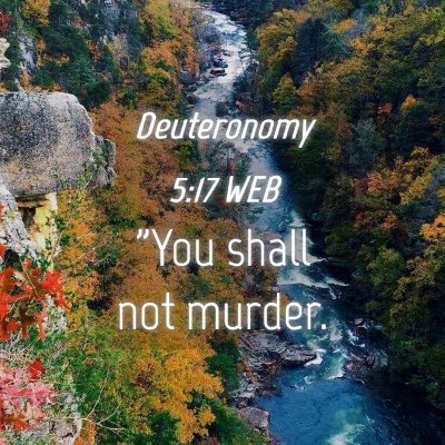 Picture 04 - Deuteronomy 5:17 WEB - 