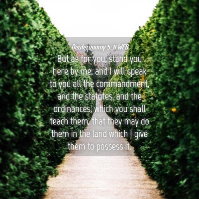 Picture 04 - Deuteronomy 5:31 WEB - But as for you, stand you here by me, and I will - Bible Verse Picture