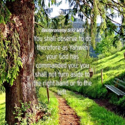 Picture 04 - Deuteronomy 5:32 WEB - You shall observe to do therefore as Yahweh your - Bible Verse Picture