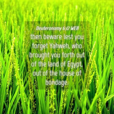 Picture 04 - Deuteronomy 6:12 WEB - then beware lest you forget Yahweh, who brought - Bible Verse Picture