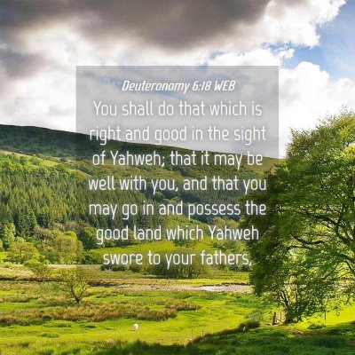 Picture 04 - Deuteronomy 6:18 WEB - You shall do that which is right and good in the - Bible Verse Picture