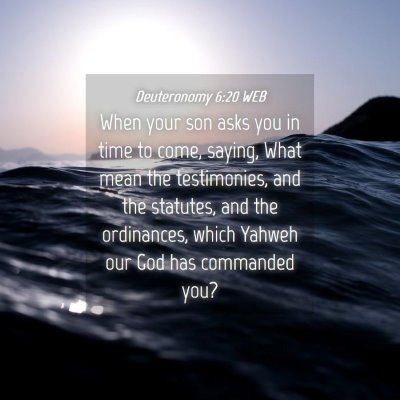 Picture 04 - Deuteronomy 6:20 WEB - When your son asks you in time to come, saying, - Bible Verse Picture