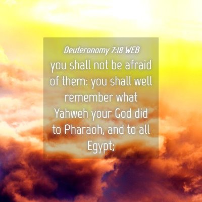 Picture 04 - Deuteronomy 7:18 WEB - you shall not be afraid of them: you shall well - Bible Verse Picture