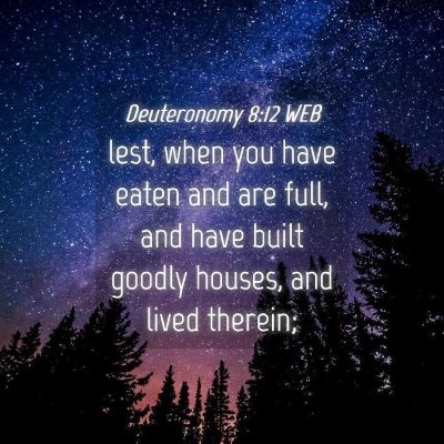 Picture 04 - Deuteronomy 8:12 WEB - lest, when you have eaten and are full, and have - Bible Verse Picture