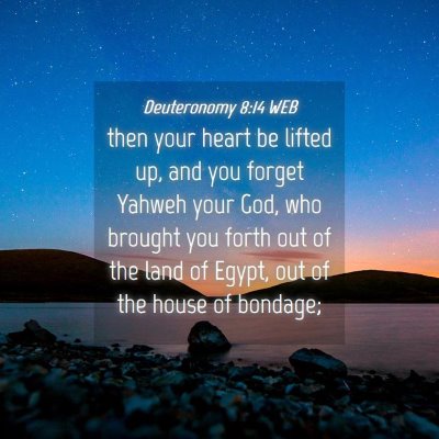 Picture 04 - Deuteronomy 8:14 WEB - then your heart be lifted up, and you forget - Bible Verse Picture