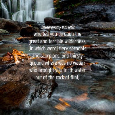 Picture 04 - Deuteronomy 8:15 WEB - who led you through the great and terrible - Bible Verse Picture