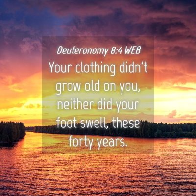 Picture 04 - Deuteronomy 8:4 WEB - Your clothing didn't grow old on you, neither did - Bible Verse Picture