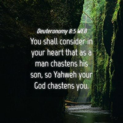 Picture 04 - Deuteronomy 8:5 WEB - You shall consider in your heart that as a man - Bible Verse Picture