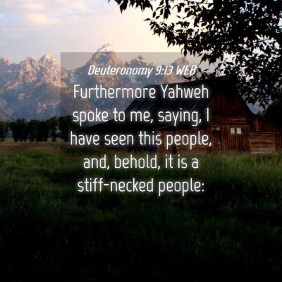 Picture 04 - Deuteronomy 9:13 WEB - Furthermore Yahweh spoke to me, saying, I have - Bible Verse Picture