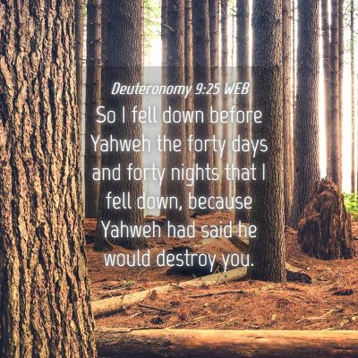 Picture 04 - Deuteronomy 9:25 WEB - So I fell down before Yahweh the forty days and - Bible Verse Picture