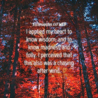Picture 04 - Ecclesiastes 1:17 WEB - I applied my heart to know wisdom, and to know - Bible Verse Picture