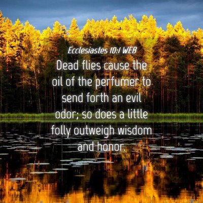 Picture 04 - Ecclesiastes 10:1 WEB - Dead flies cause the oil of the perfumer to send - Bible Verse Picture