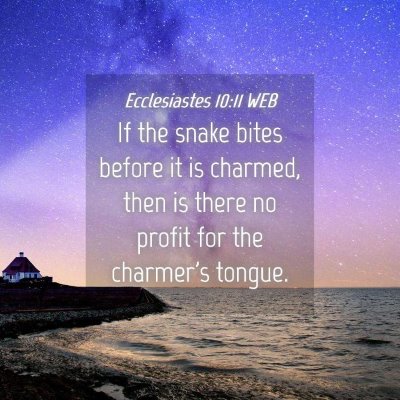 Picture 04 - Ecclesiastes 10:11 WEB - If the snake bites before it is charmed, then is - Bible Verse Picture