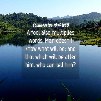 Picture 04 - Ecclesiastes 10:14 WEB - A fool also multiplies words. Man doesn't know - Bible Verse Picture