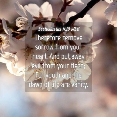 Picture 04 - Ecclesiastes 11:10 WEB - Therefore remove sorrow from your heart, And put - Bible Verse Picture