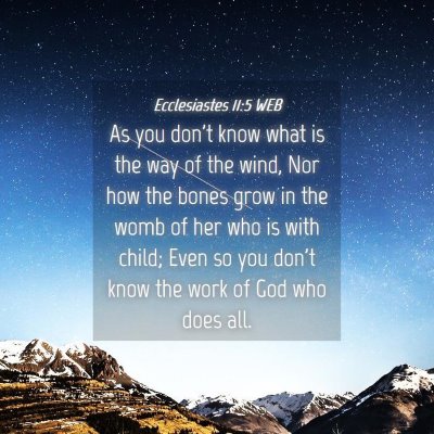 Picture 04 - Ecclesiastes 11:5 WEB - As you don't know what is the way of the wind, - Bible Verse Picture