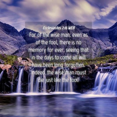 Picture 04 - Ecclesiastes 2:16 WEB - For of the wise man, even as of the fool, there - Bible Verse Picture
