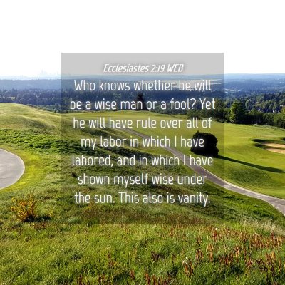 Picture 04 - Ecclesiastes 2:19 WEB - Who knows whether he will be a wise man or a - Bible Verse Picture