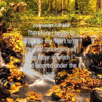 Picture 04 - Ecclesiastes 2:20 WEB - Therefore I began to cause my heart to despair - Bible Verse Picture
