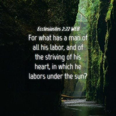 Picture 04 - Ecclesiastes 2:22 WEB - For what has a man of all his labor, and of the - Bible Verse Picture