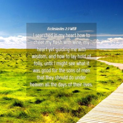 Picture 04 - Ecclesiastes 2:3 WEB - I searched in my heart how to cheer my flesh with - Bible Verse Picture