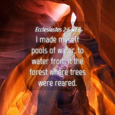 Picture 04 - Ecclesiastes 2:6 WEB - I made myself pools of water, to water from it - Bible Verse Picture