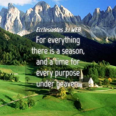 Picture 04 - Ecclesiastes 3:1 WEB - For everything there is a season, and a time for - Bible Verse Picture