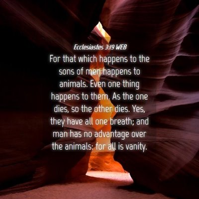 Picture 04 - Ecclesiastes 3:19 WEB - For that which happens to the sons of men happens - Bible Verse Picture