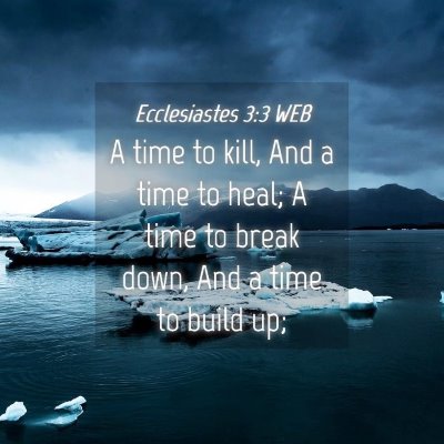 Picture 04 - Ecclesiastes 3:3 WEB - A time to kill, And a time to heal; A time to - Bible Verse Picture