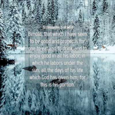 Picture 04 - Ecclesiastes 5:18 WEB - Behold, that which I have seen to be good and - Bible Verse Picture
