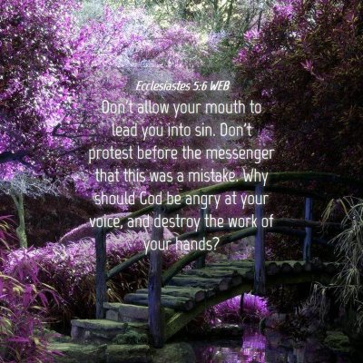 Picture 04 - Ecclesiastes 5:6 WEB - Don't allow your mouth to lead you into sin. - Bible Verse Picture