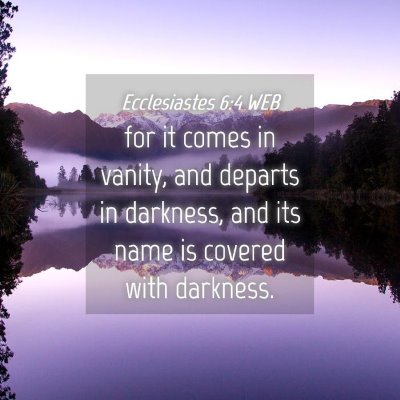 Picture 04 - Ecclesiastes 6:4 WEB - for it comes in vanity, and departs in darkness, - Bible Verse Picture