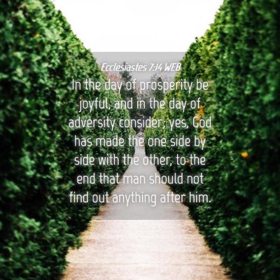 Picture 04 - Ecclesiastes 7:14 WEB - In the day of prosperity be joyful, and in the - Bible Verse Picture