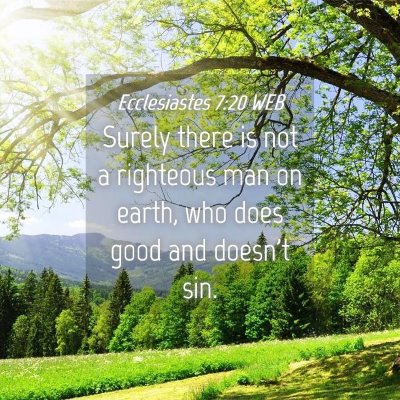 Picture 04 - Ecclesiastes 7:20 WEB - Surely there is not a righteous man on earth, who - Bible Verse Picture