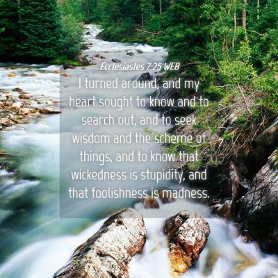 Picture 04 - Ecclesiastes 7:25 WEB - I turned around, and my heart sought to know and - Bible Verse Picture
