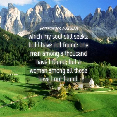 Picture 04 - Ecclesiastes 7:28 WEB - which my soul still seeks; but I have not found: - Bible Verse Picture