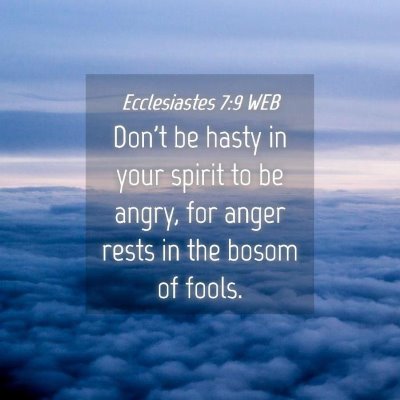 Picture 04 - Ecclesiastes 7:9 WEB - Don't be hasty in your spirit to be angry, for - Bible Verse Picture