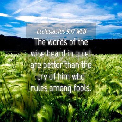Picture 04 - Ecclesiastes 9:17 WEB - The words of the wise heard in quiet are better - Bible Verse Picture
