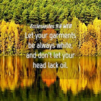Picture 04 - Ecclesiastes 9:8 WEB - Let your garments be always white, and don't let - Bible Verse Picture