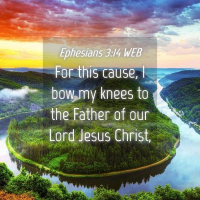 Picture 04 - Ephesians 3:14 WEB - For this cause, I bow my knees to the Father of - Bible Verse Picture